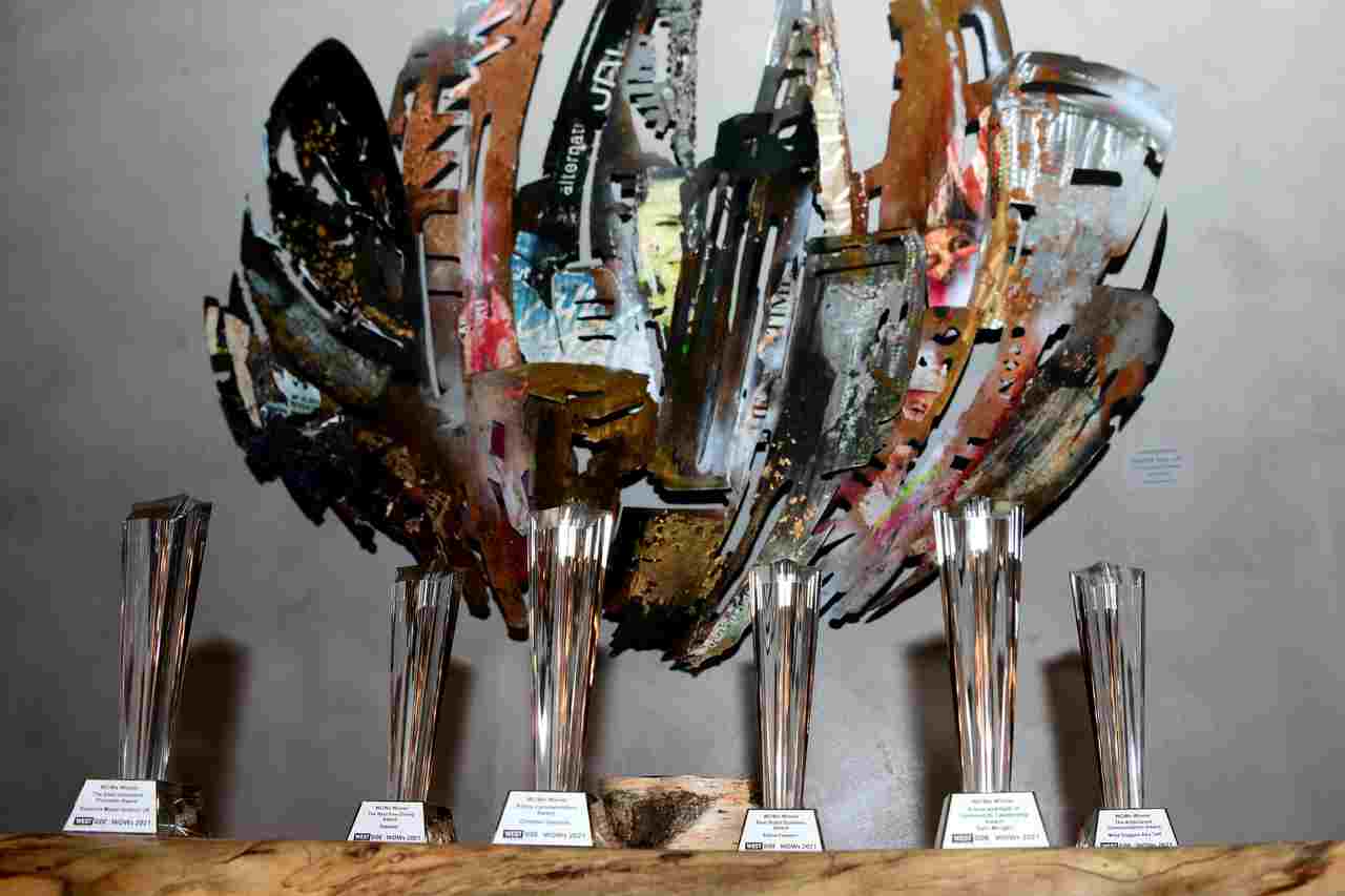 This image shows the awards that were given to winners.