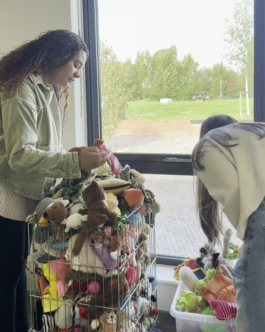 Donated toys for the dogs at Birmingham Dogs Home